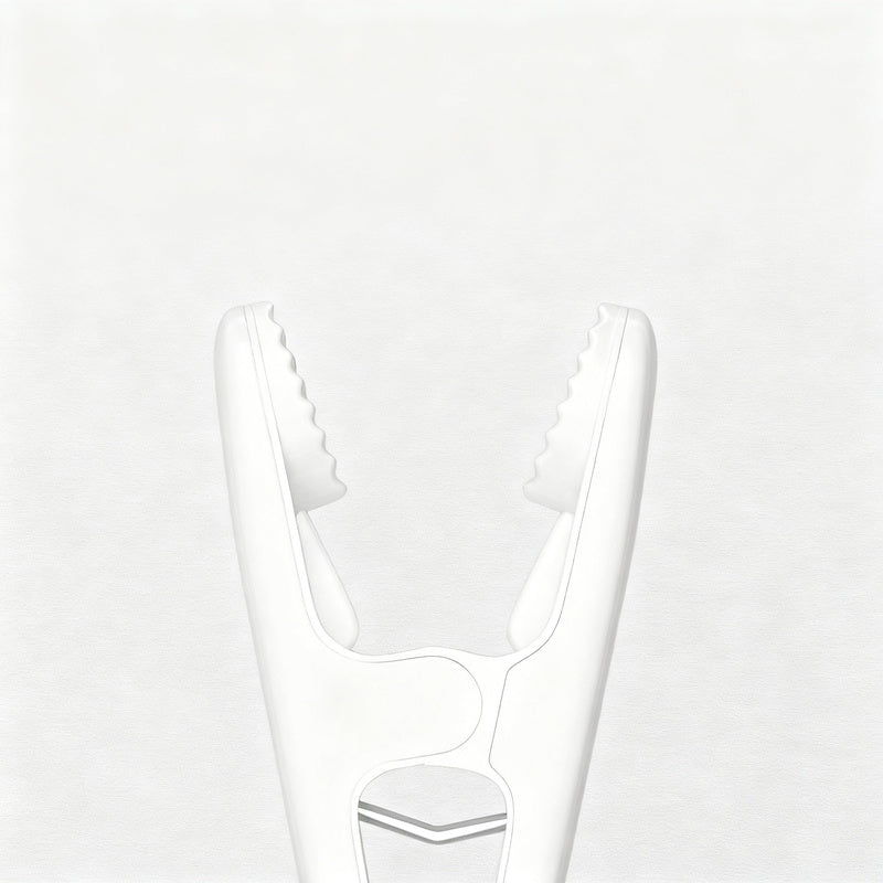 Plastic clothes pegs, set of 12