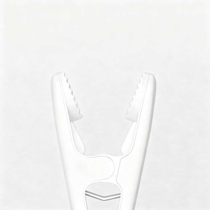 Plastic clothes pegs, set of 12