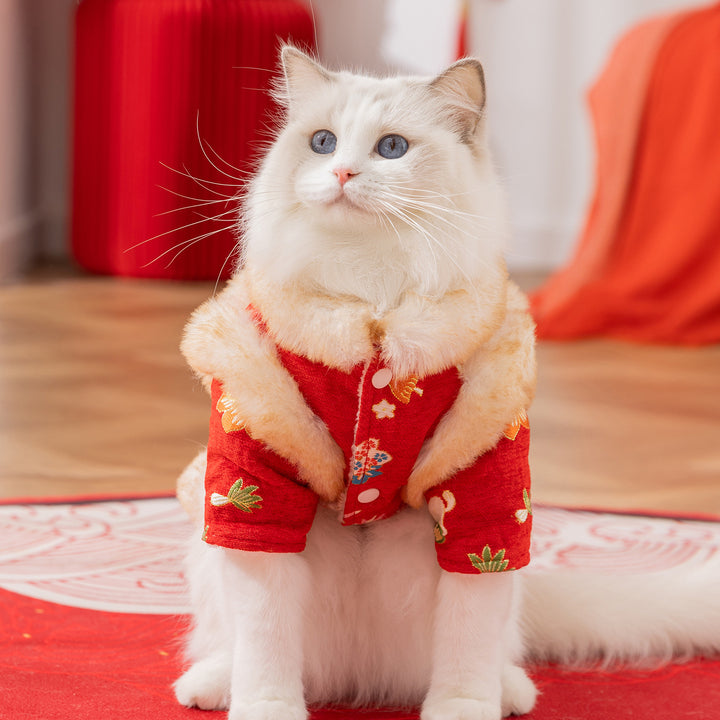 Chinese winter jacket for cats and dogs