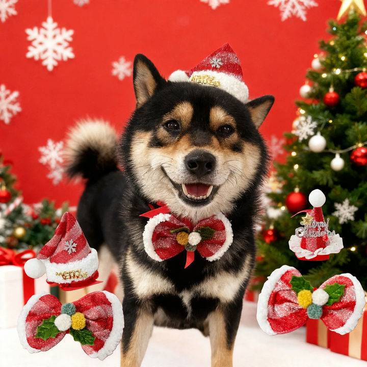Christmas accessories for pets, hat and bow