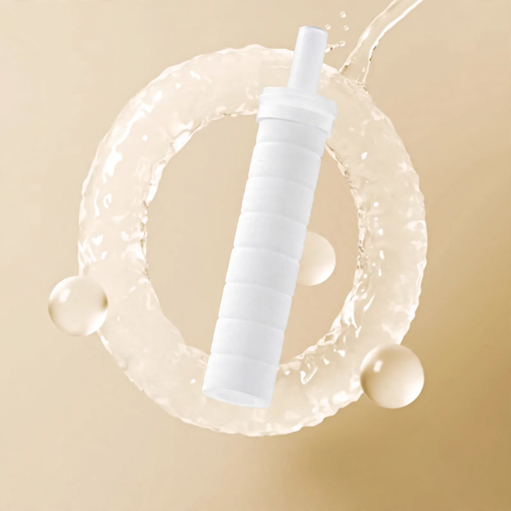 Portable shower head with pressure boost and filter