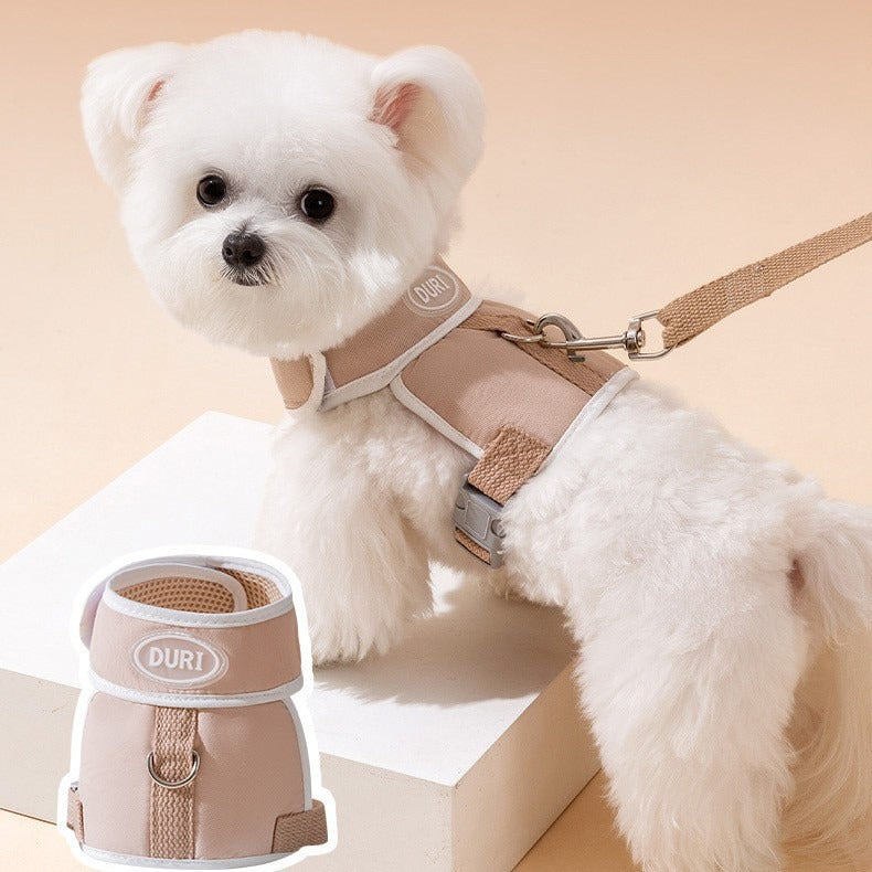 Colorful leash for small dogs and cats