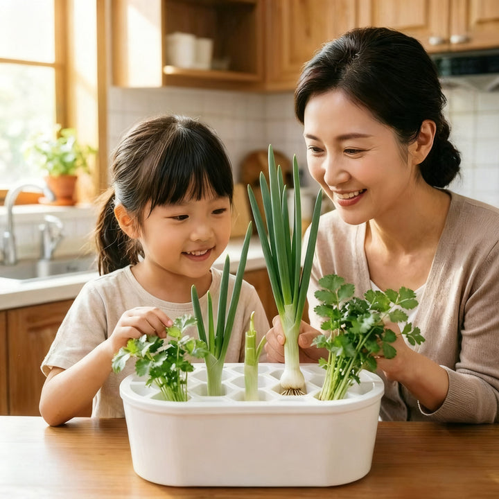 Hydroponic growing box for herbs and vegetables