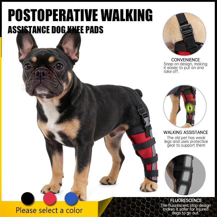 Hind leg support sleeve for dogs, year-round