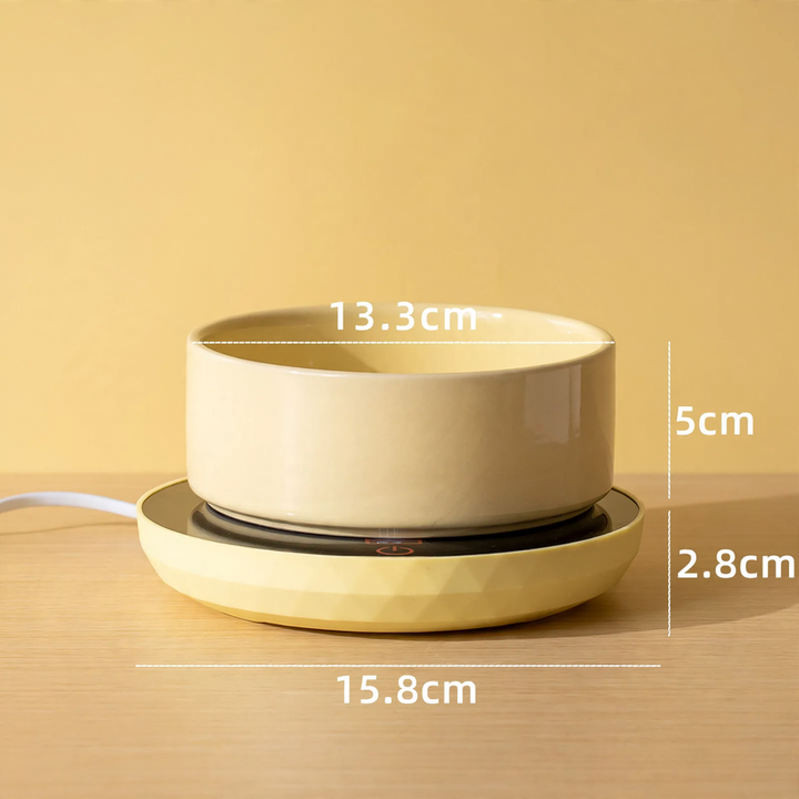 Heated ceramic bowl for cats and dogs