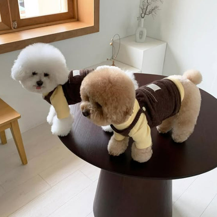 Dog carrier dress made of cord, with pocket