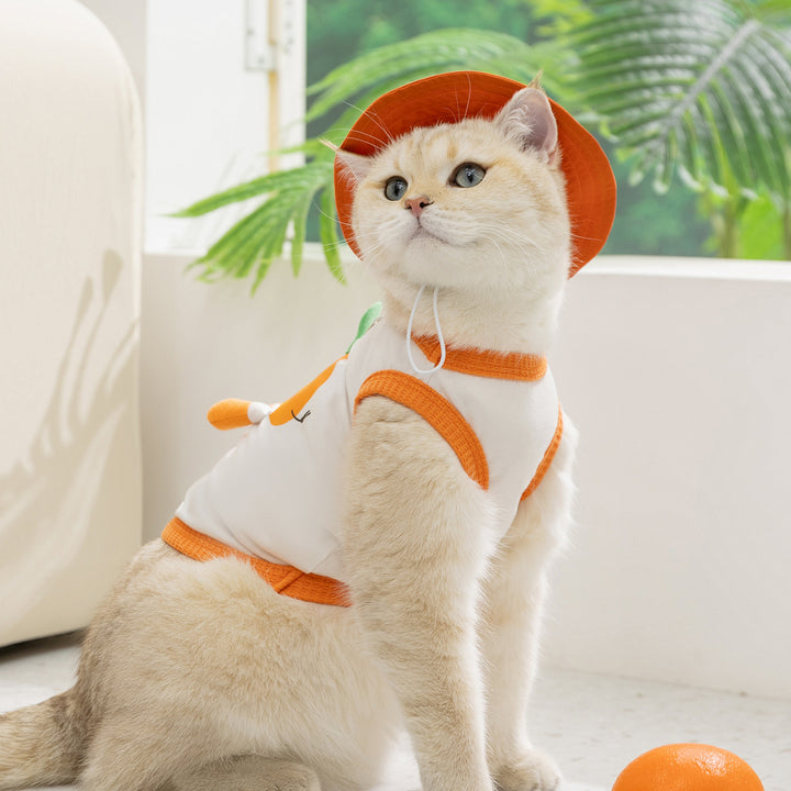Breathable Pet Carrier Top for Cats and Small Dogs