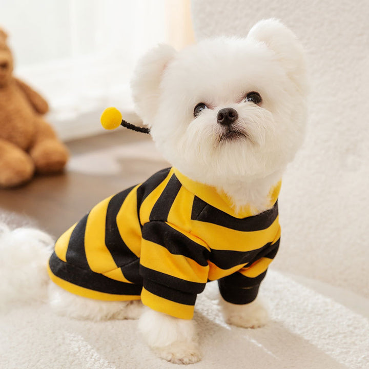 Sweatshirt for dogs and cats with bee motif