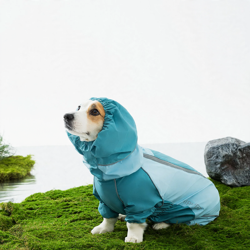 Raincoat for dogs, four-legged, waterproof