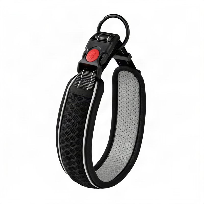 Dog collar made of polypropylene