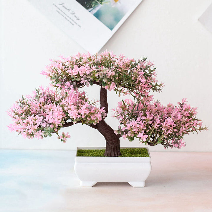 Bonsai Plant – Mini Indoor Decoration
