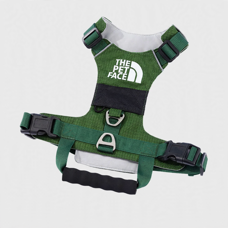 Dog harness with double ring, breathable, various sizes