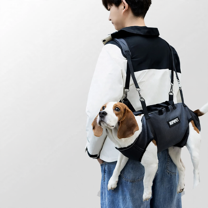 Backpack for dogs and cats, portable