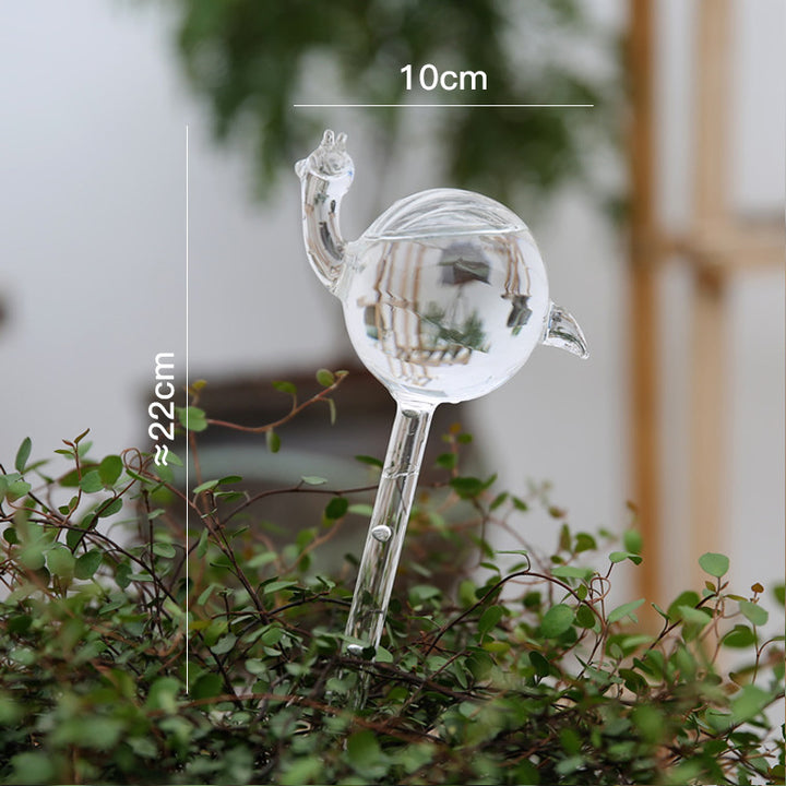 Glass drinkers for plants, various shapes