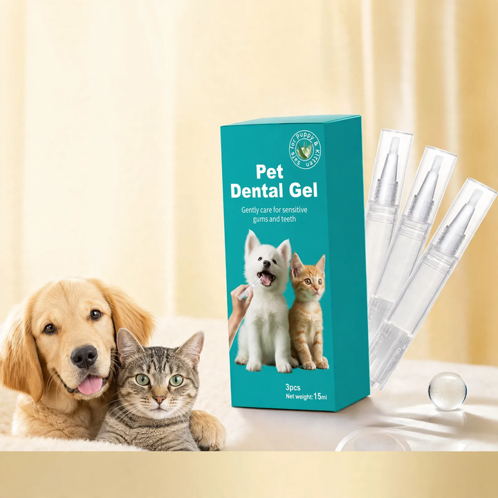 Tooth cleaning pen for dogs and cats