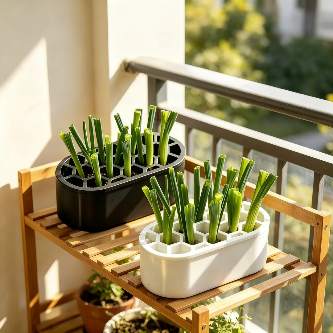 Hydroponic growing box for herbs and vegetables