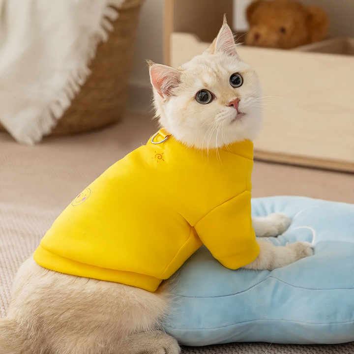 Sweatshirt for small dogs and cats