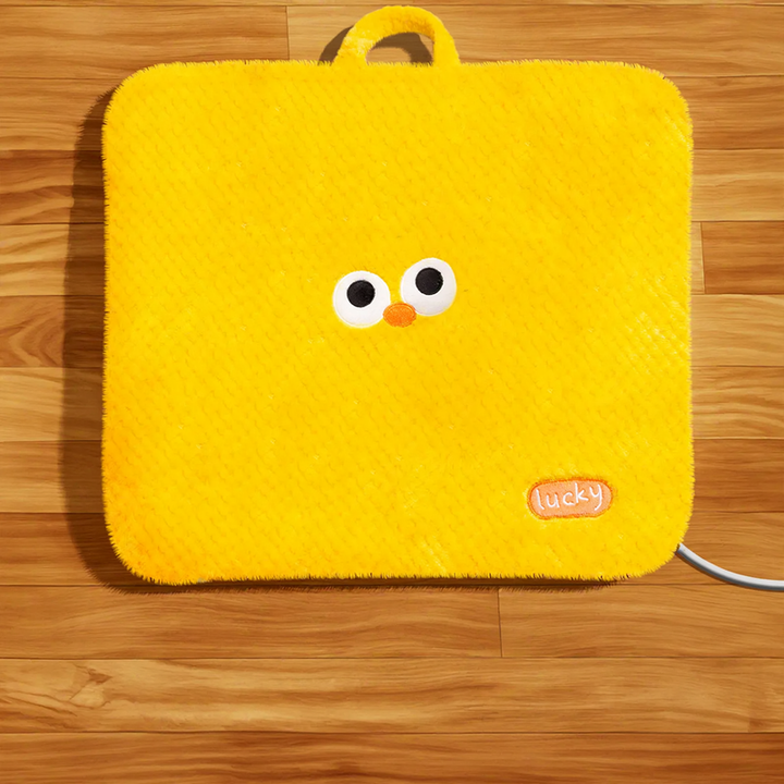 Heated pet mat with cover