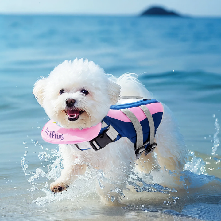 Life jacket for dogs, summer, various sizes