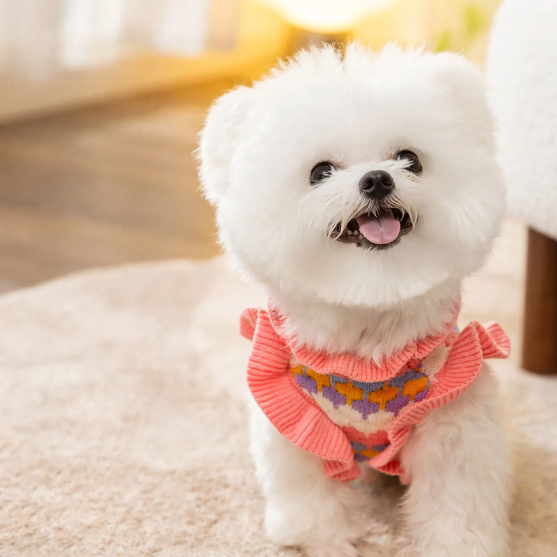 Pet Knit Sweater with Floral Pattern
