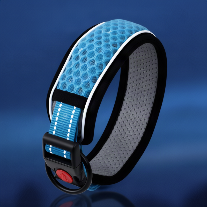 Dog collar made of polypropylene