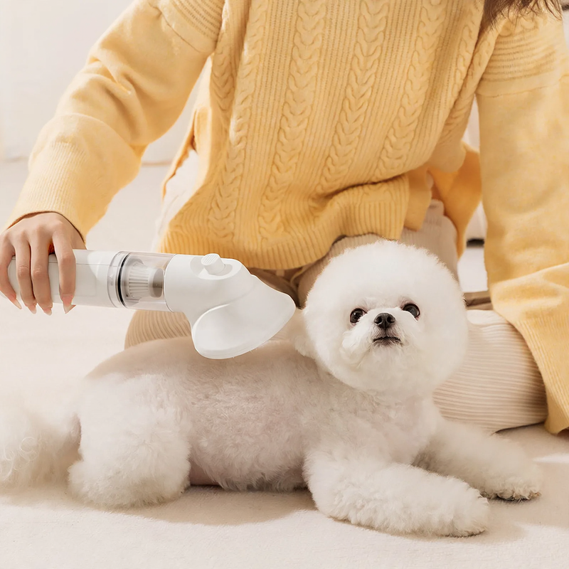 Hairbrush with suction function for small dogs