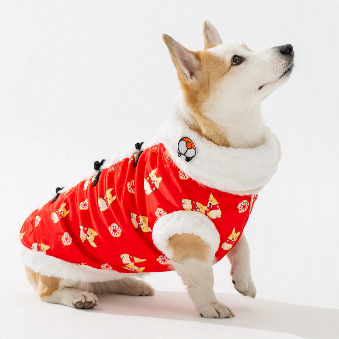 Chinese holiday vest for dogs, silk