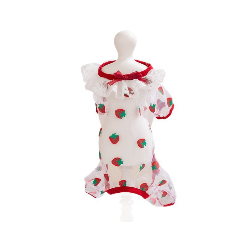 Cat clothing, mesh fabric, four legs, summer