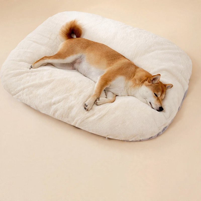 Pet cuddly bed with removable cover