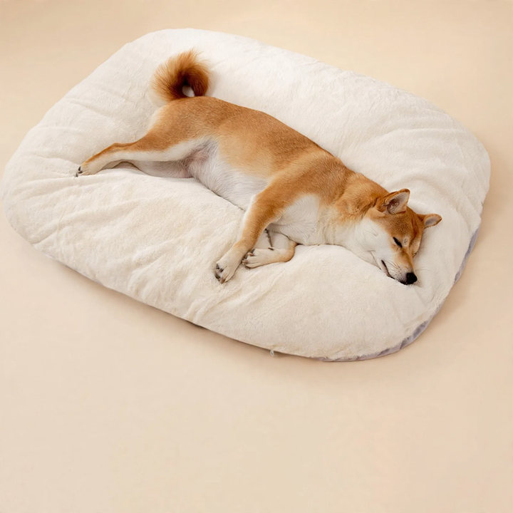 Pet cuddly bed with removable cover