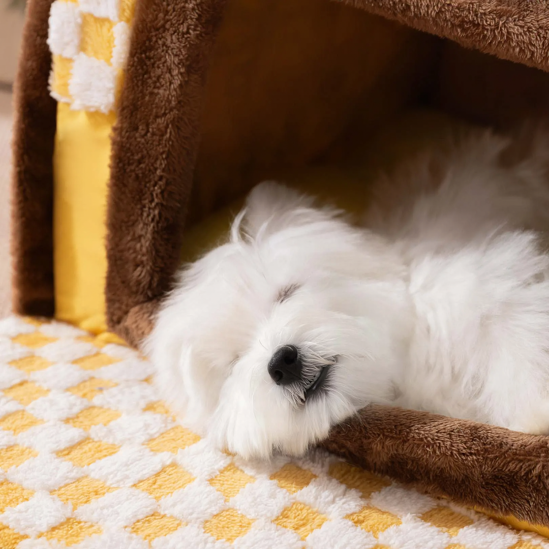 Pet Sleep House, Winter, Arched Design