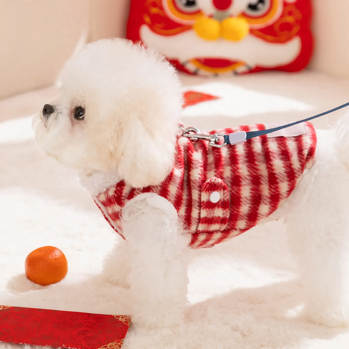 Padded pet vest with harness