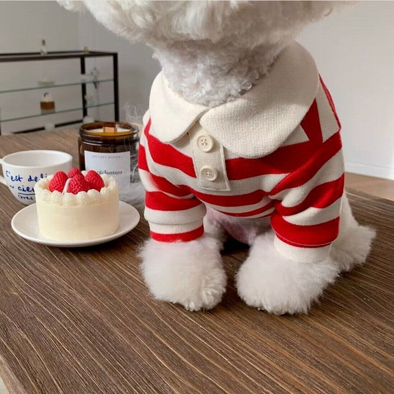 Knitted sweater for cats and small dogs