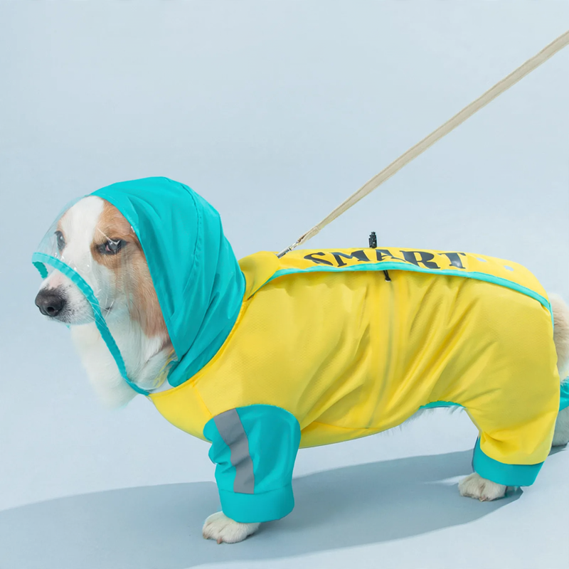 Waterproof raincoat for small and medium dogs