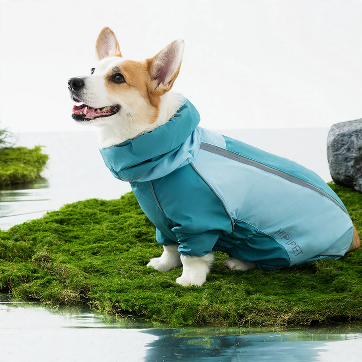 Raincoat for dogs, four-legged, waterproof