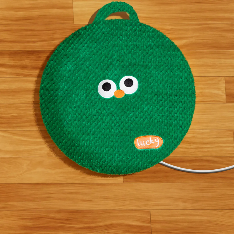 Heated pet mat with cover