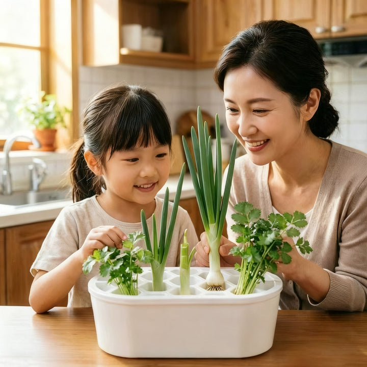 Hydroponic growing box for herbs and vegetables
