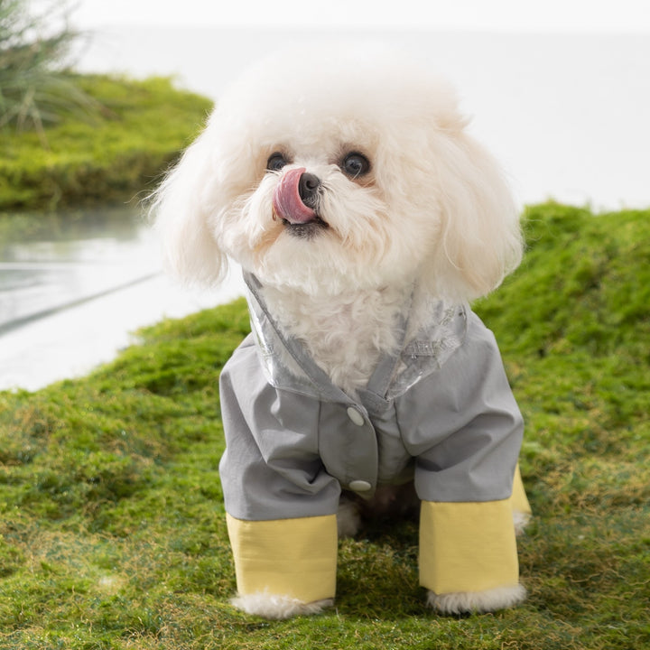 Raincoat for dogs, nylon, waterproof
