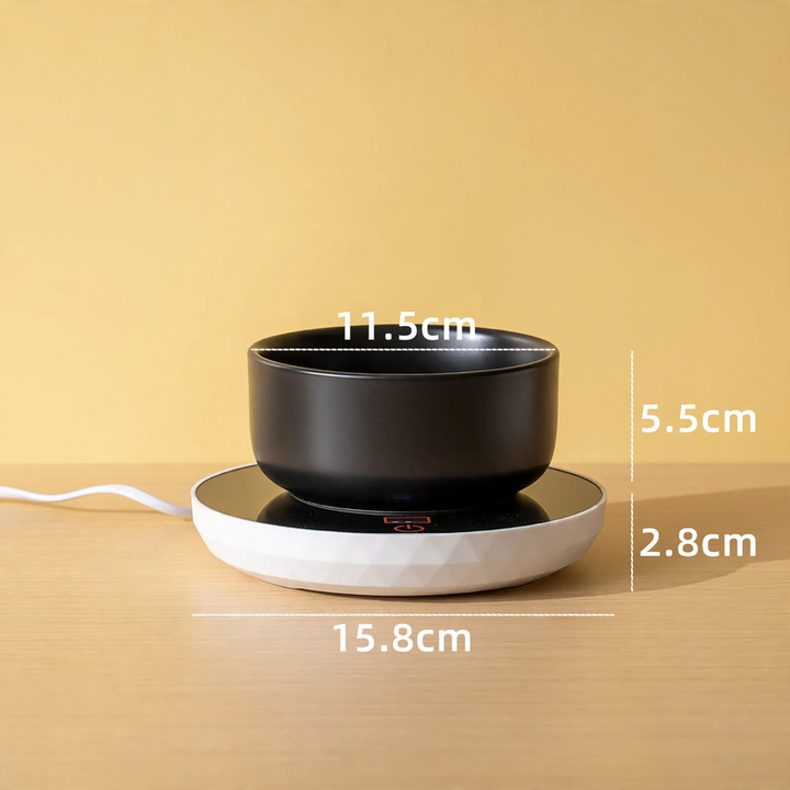 Heated ceramic bowl for cats and dogs