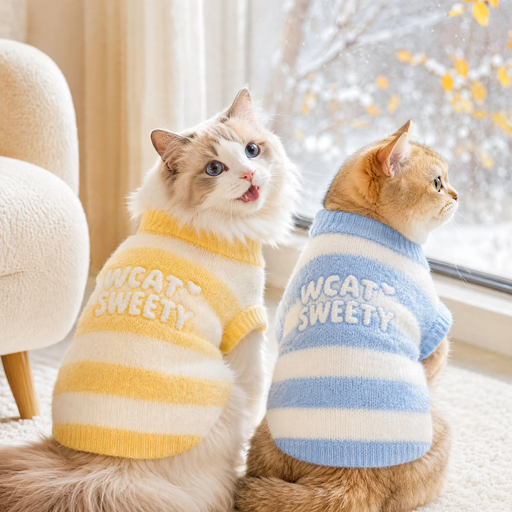 Pet sweater with letter pattern