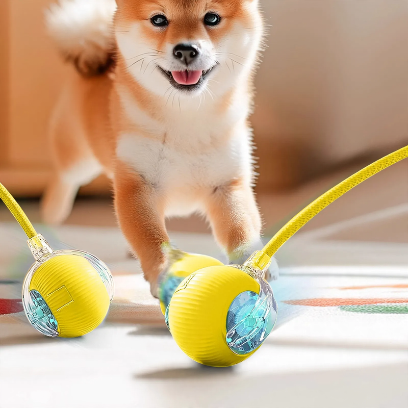 Interactive spring ball for cats with charging