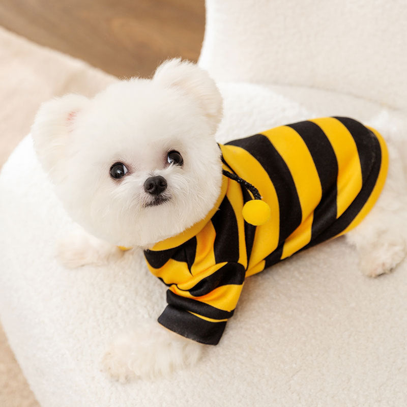 Sweatshirt for dogs and cats with bee motif