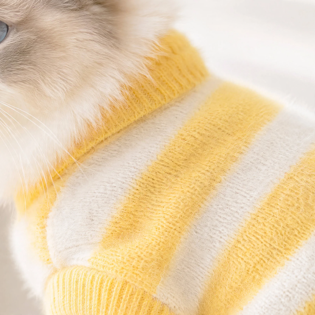 Pet sweater with letter pattern