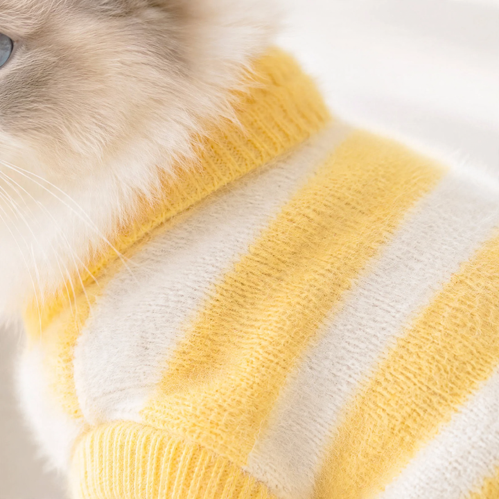 Pet sweater with letter pattern