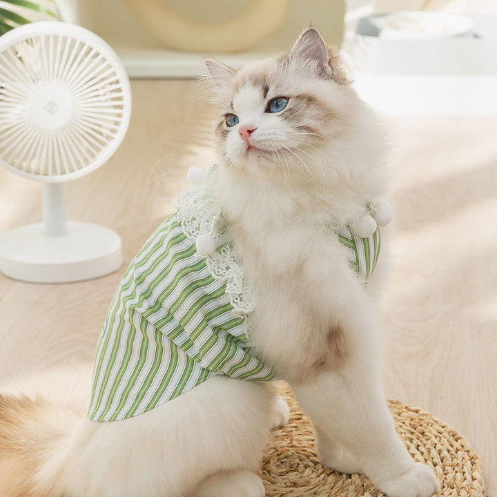 Summer dress for dogs and cats, straps