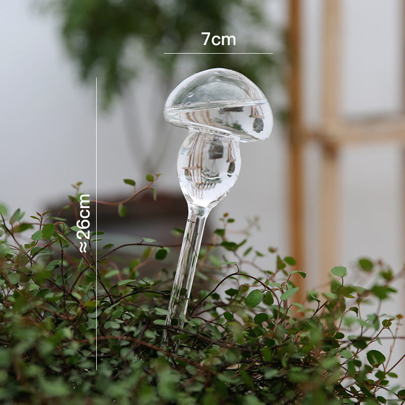 Glass drinkers for plants, various shapes