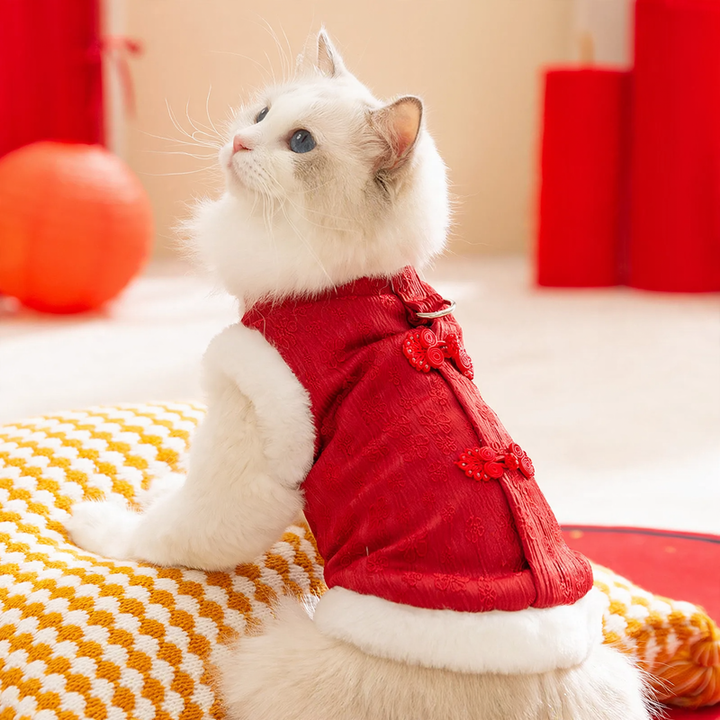 Chinese Vest for Cats, Winter Style