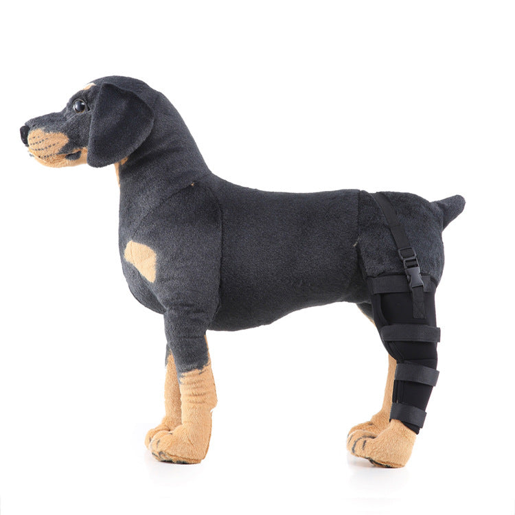 Hind leg support sleeve for dogs, year-round