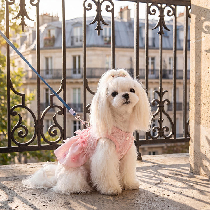 Princess dress for small dogs, summer