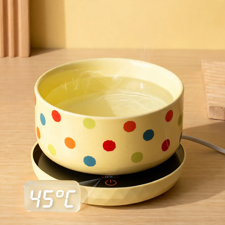 Heated ceramic bowl for cats and dogs